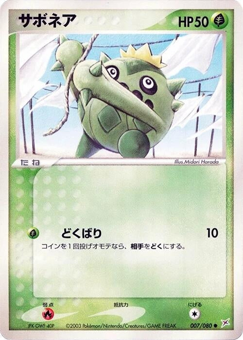 Cacnea (007/080)