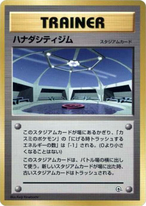 Image for Cerulean City Gym - Pokemon Japan