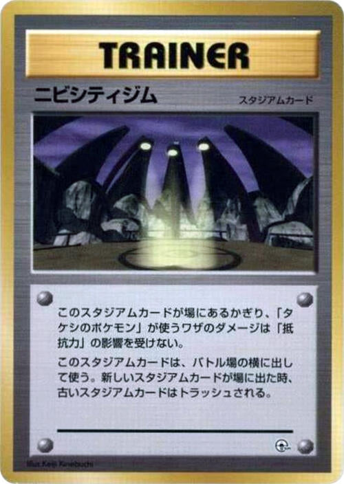 Image for Pewter City Gym - Pokemon Japan