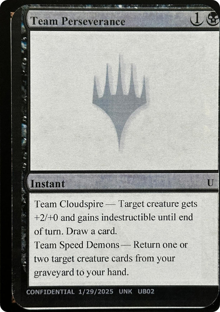 Image for Team Perseverance - Magic: The Gathering