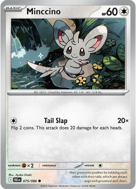Minccino 075/086 SV: Black Bolt