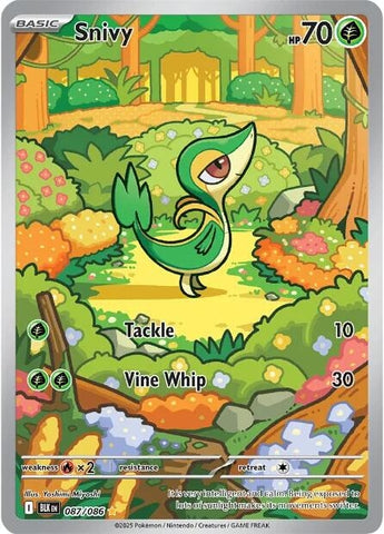Image for Snivy (087/086) - Pokemon