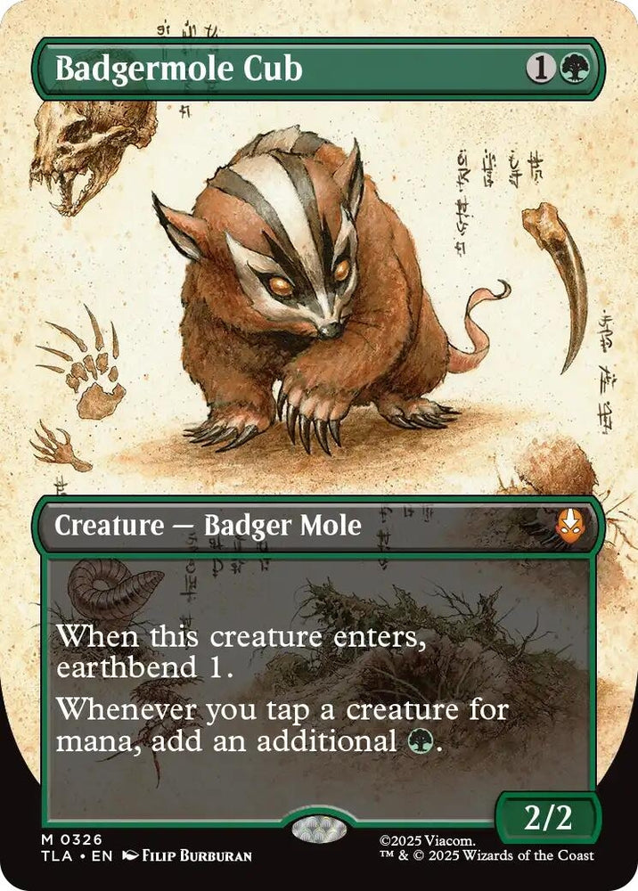 Image for Badgermole Cub (Borderless) (326) (Avatar: The Last Airbender) - Magic: The Gathering