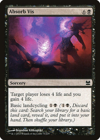 Image for Absorb Vis (71) [Modern Masters]
