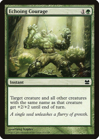 Image for Echoing Courage (143) [Modern Masters]