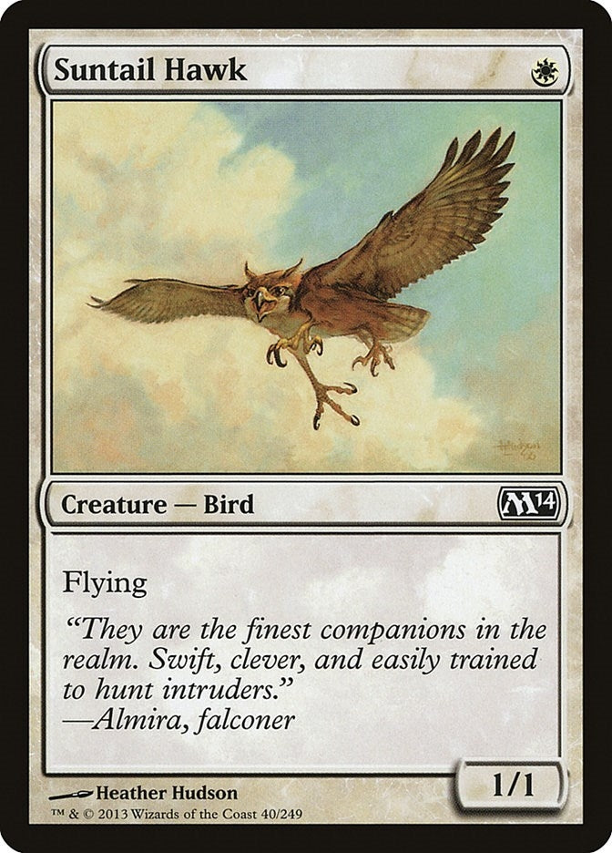 Image for Suntail Hawk (40) [Magic 2014 (M14)]