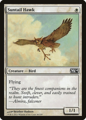 Image for Suntail Hawk (40) [Magic 2014 (M14)]