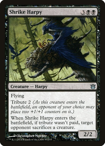 Image for Shrike Harpy (83) [Born of the Gods]