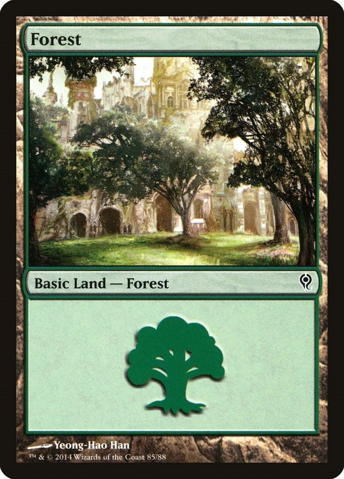 Image for Forest (85) (85) [Duel Decks: Jace vs. Vraska]