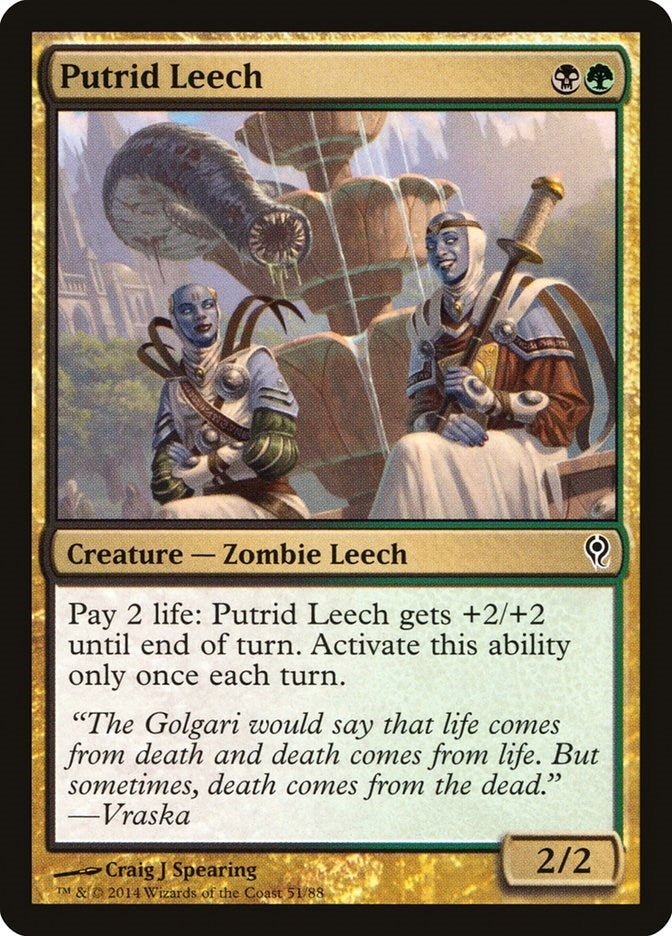 Image for Putrid Leech (51) [Duel Decks: Jace vs. Vraska]