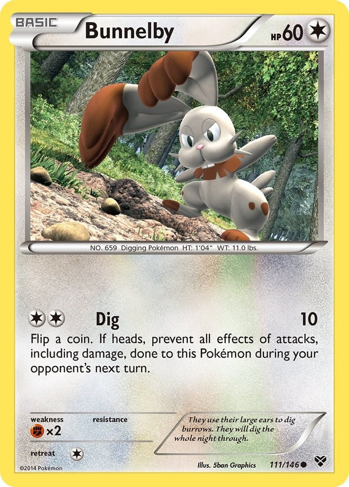 Image for Bunnelby (111/146) [XY Base Set]