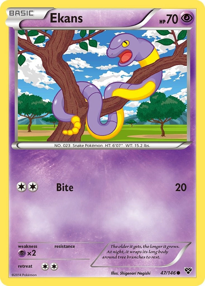 Image for Ekans (47/146) [XY Base Set]