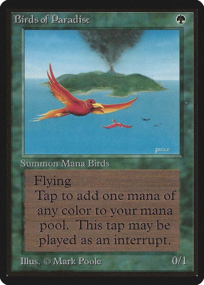 Image for Birds of Paradise [Beta Edition]