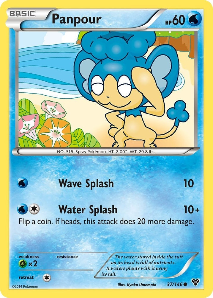 Image for Panpour (37/146) [XY Base Set]