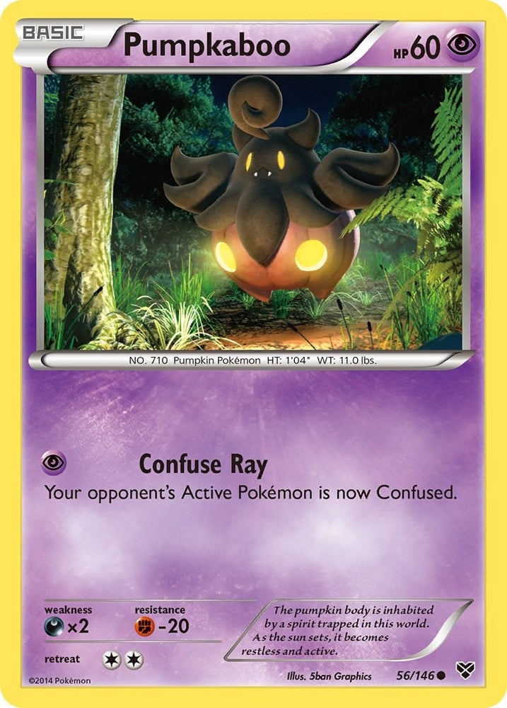 Image for Pumpkaboo (56/146) [XY Base Set]