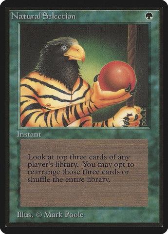 Image for Natural Selection [Beta Edition]
