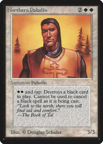 Image for Northern Paladin [Beta Edition]