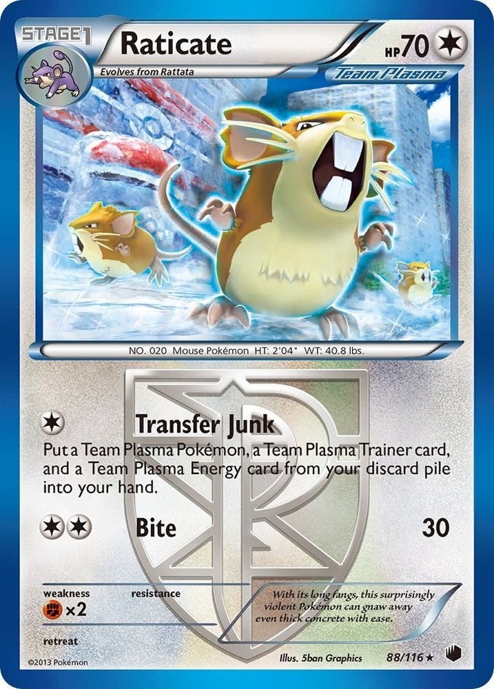 Image for Raticate (Team Plasma) (88/116) [Plasma Freeze]