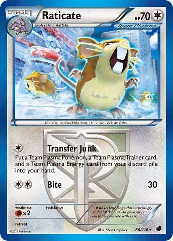 Image for Raticate (Team Plasma) (88/116) [Plasma Freeze]
