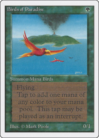 Image for Birds of Paradise [Unlimited Edition]