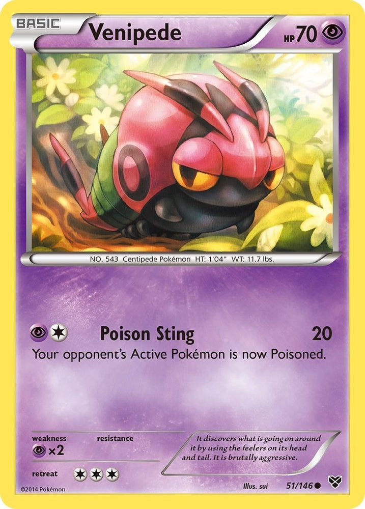 Image for Venipede (51/146) [XY Base Set]