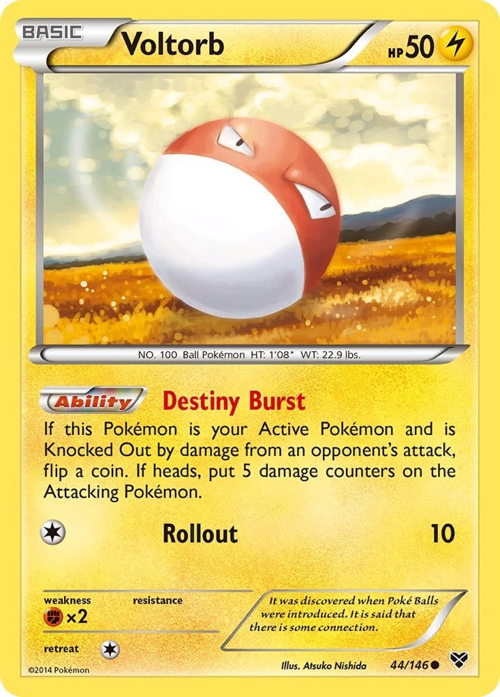 Image for Voltorb (44/146) [XY Base Set]