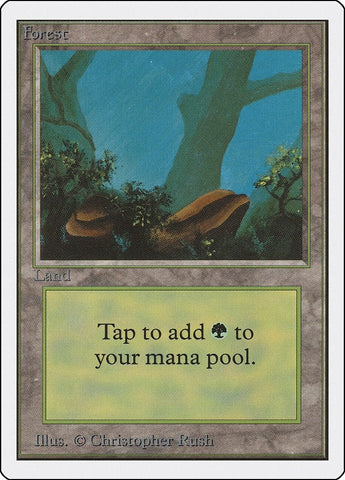 Image for Forest (A) [Unlimited Edition]
