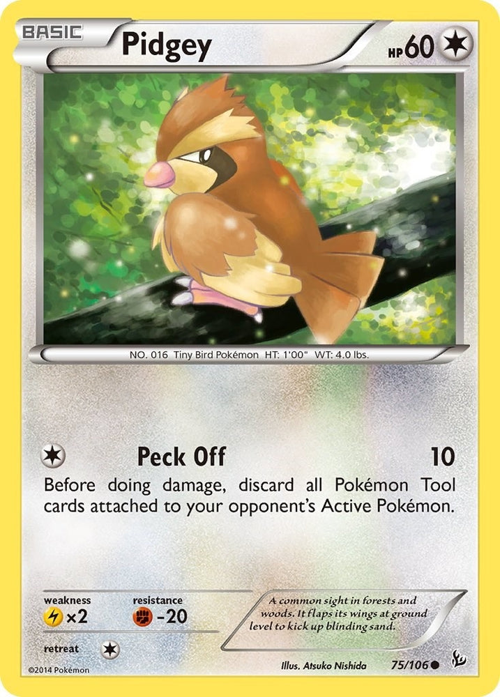 Image for Pidgey (75/106) [XY - Flashfire]