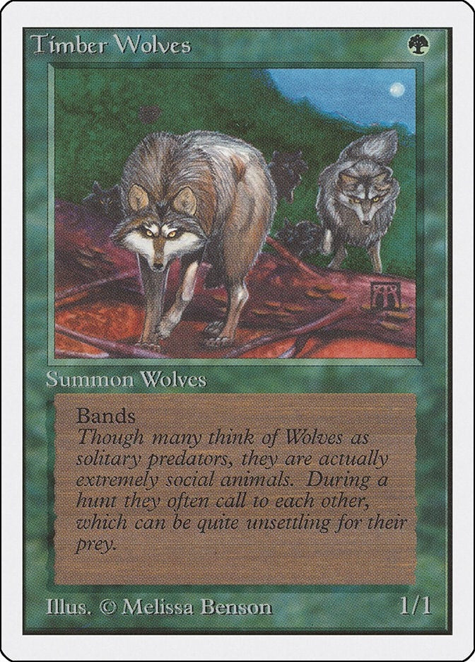 Image for Timber Wolves [Unlimited Edition]