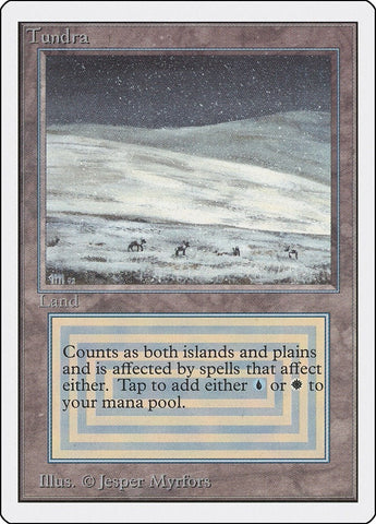 Image for Tundra - Magic: The Gathering