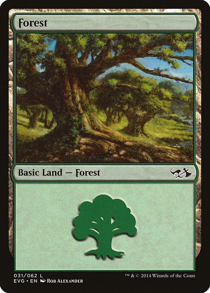 Image for Forest (031) (EVG) (31) [Duel Decks: Anthology]