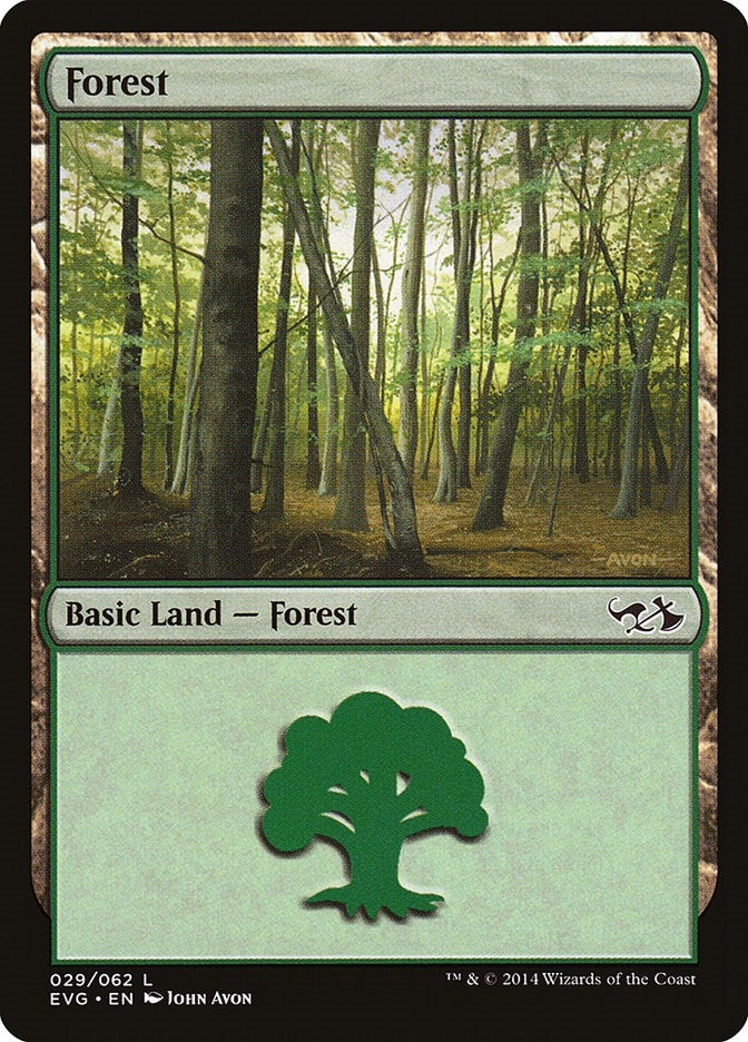 Image for Forest (029) (EVG) (29) [Duel Decks: Anthology]