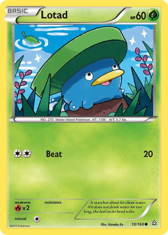 Image for Lotad (10/160) [XY - Primal Clash]