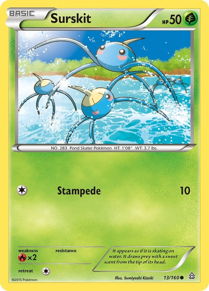 Image for Surskit (13/160) [XY - Primal Clash]