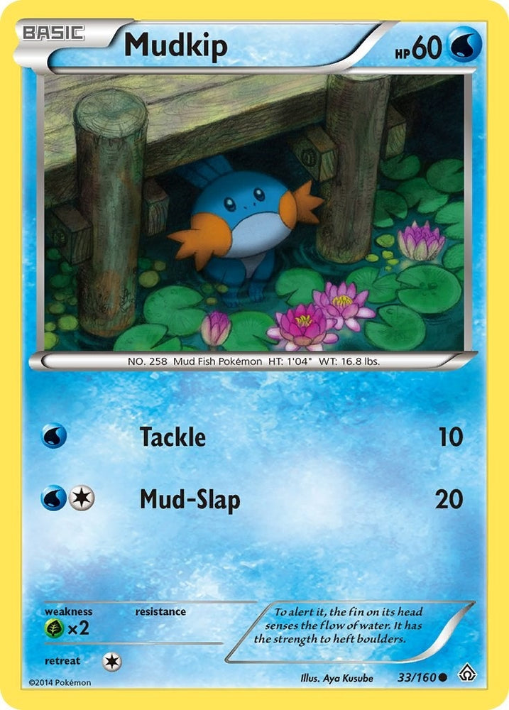 Image for Mudkip (33/160) [XY - Primal Clash]