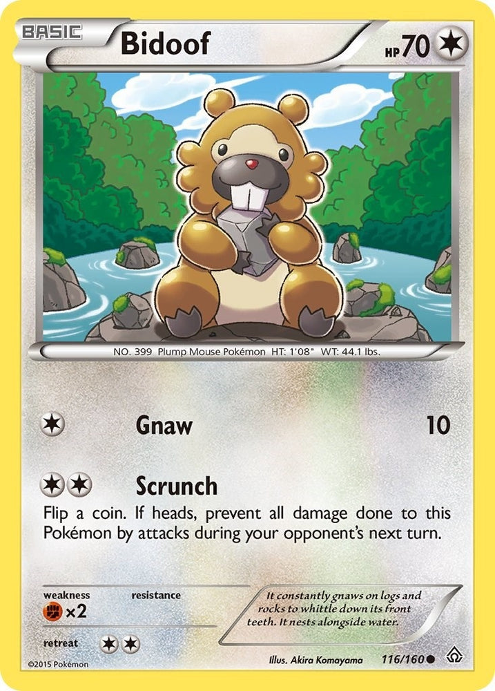 Image for Bidoof (116/160) [XY - Primal Clash]