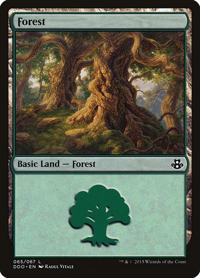 Image for Forest (065) (65) [Duel Decks: Elspeth vs. Kiora]