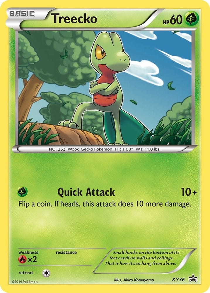 Image for Treecko - XY36 (XY36) [XY Promos]