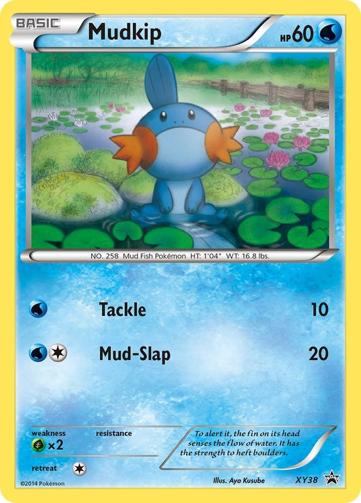 Image for Mudkip - XY38 (XY38) [XY Promos]