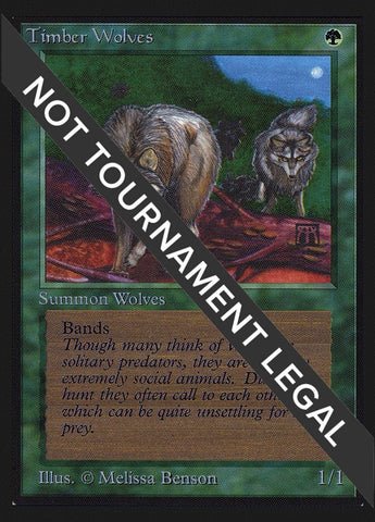 Image for Timber Wolves (CE) - Magic: The Gathering