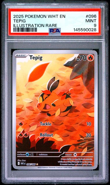 2025 POKEMON WHT EN-WHITE FLARE #096 TEPIG ILLUSTRATION RARE PSA 9