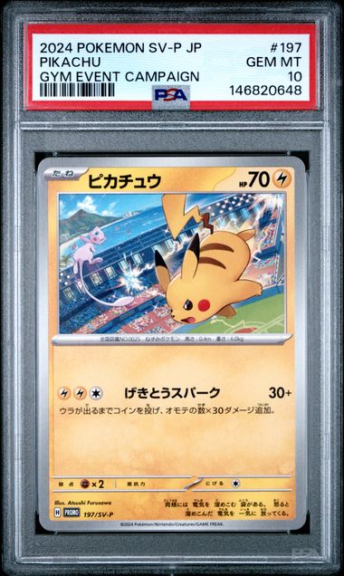 2024 POKEMON JAPANESE SV-P PROMO #197 PIKACHU GYM EVENT CAMPAIGN PSA 10